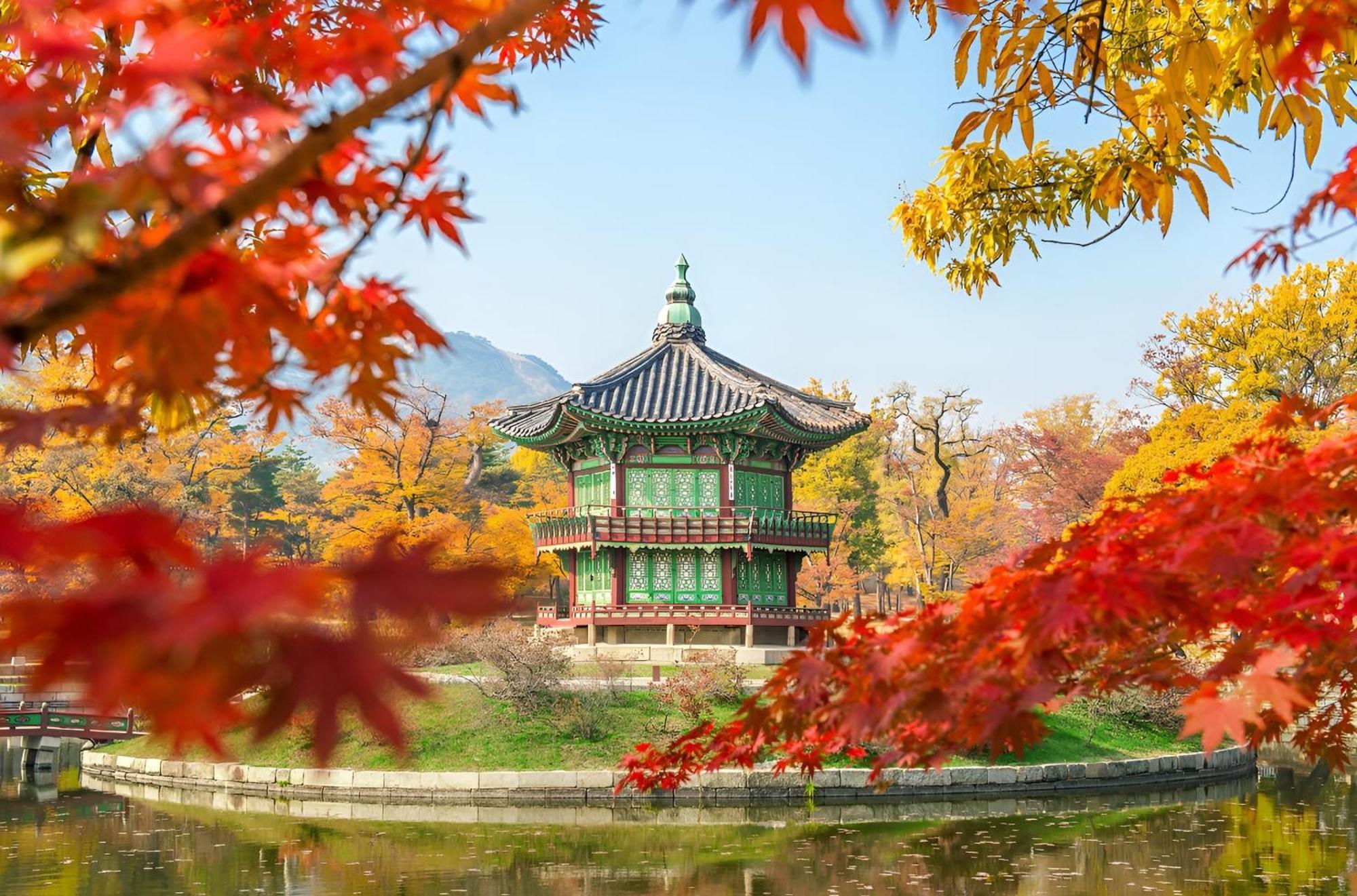 Hotel Myeongdong Seul Dış mekan fotoğraf