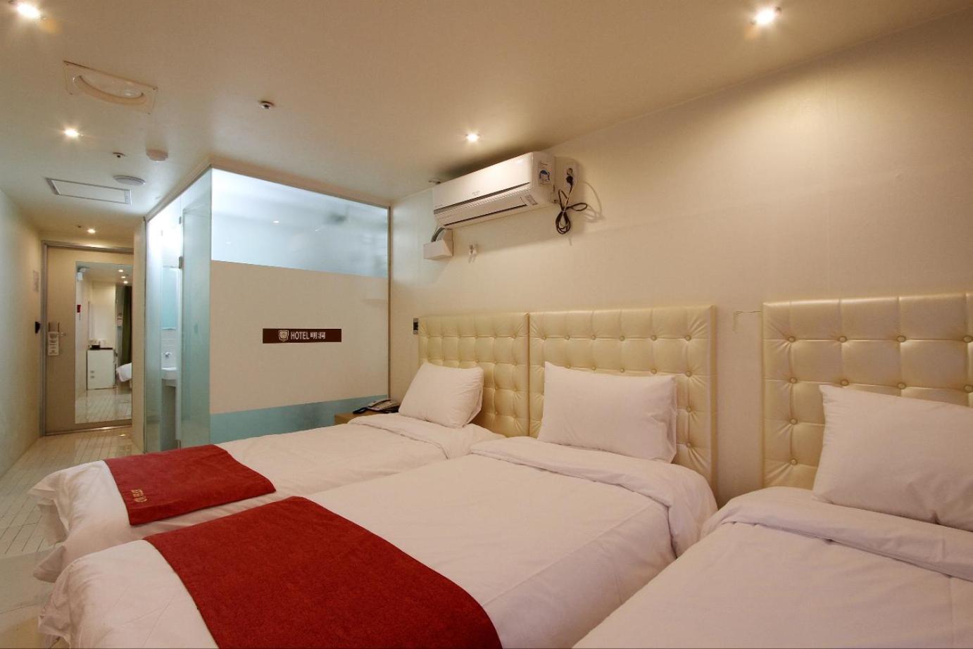 Hotel Myeongdong Seul Dış mekan fotoğraf